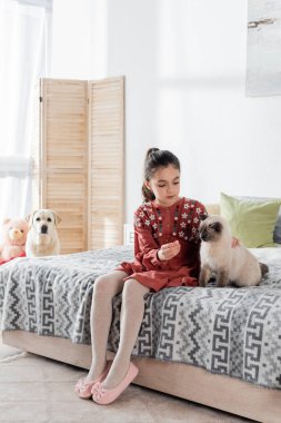 Bulanık labrador köpeğinin yanında kediyle oynayan genç kızın tam boy görüntüsü.