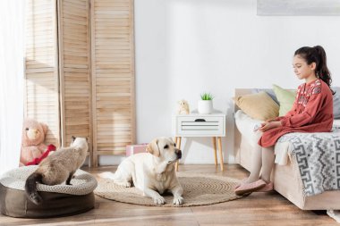 Yatak odasında Labrador ve kedinin yanında oturan gülümseyen kız manzarası