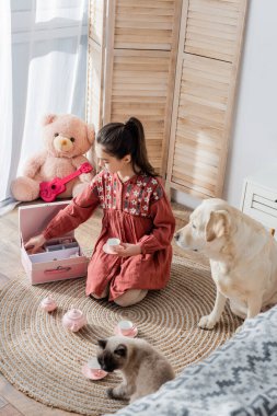 Labrador köpek ve kedisinin yanında oyuncak çayla oynayan at kuyruklu kızın yüksek açılı görüntüsü