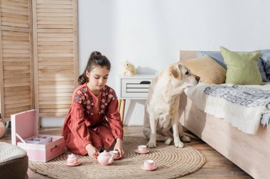 Esmer kız labrador köpeğinin yanında yerde oyuncak çayla oynuyor.