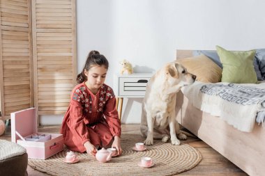 brunette girl playing with toy tea set on floor near labrador dog clipart
