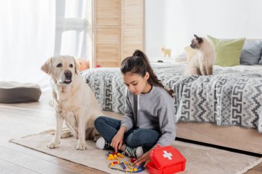 Labrador ve kedilerin yanında oyuncak tıbbi aletlerle doktorculuk oynayan genç kız.
