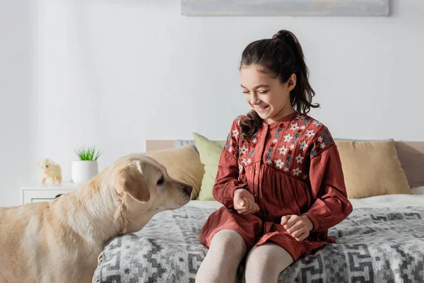 Neşeli Küçük Kız Yatak Odasında Labrador Köpeğiyle Oynuyor — Stok fotoğraf