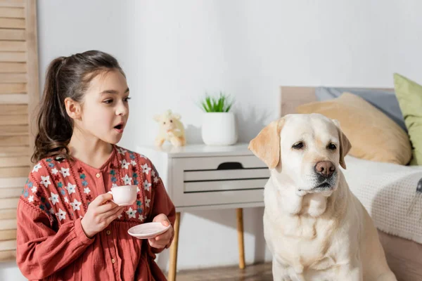 Förvånad Flicka Håller Leksak Kopp Nära Gul Labrador Hemma — Stockfoto