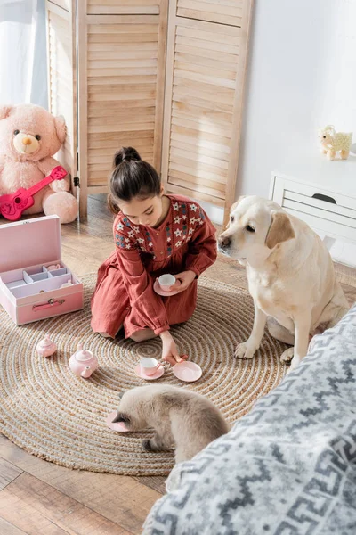 high angle view of dog and cat sitting on floor near girl playing with toy tea set