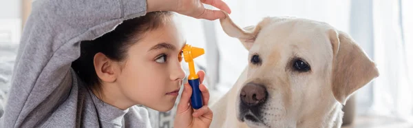 Menina Examinando Orelha Cão Labrador Com Otoscópio Brinquedo Bandeira — Fotografia de Stock