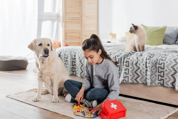 Preteen Menina Jogando Médico Com Brinquedo Instrumentos Médicos Perto Labrador — Fotografia de Stock