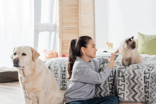 Fröhliches Mädchen Spritzt Katze Nahe Labrador Hund Mit Spielzeugspritze — Stockfoto