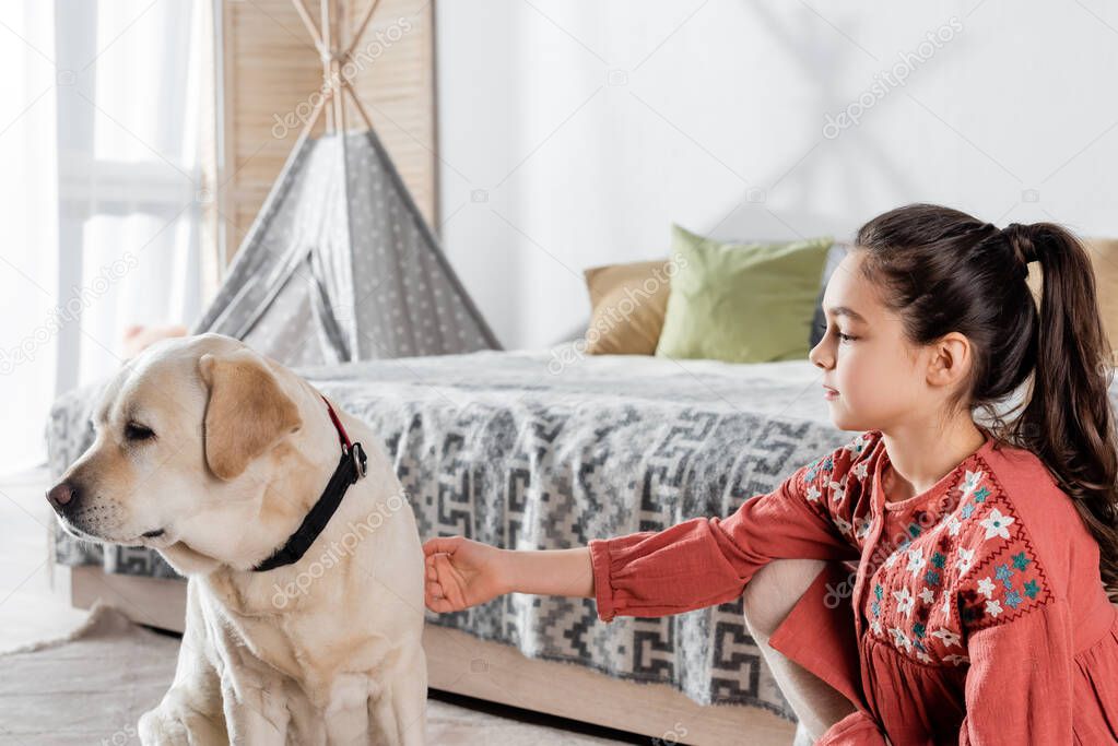 labrador dog looking away while sitting near preteen girl in bedroom