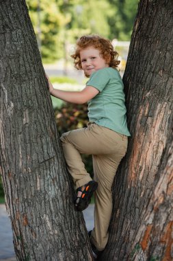 Gülümseyen kızıl çocuk parktaki ağaca tırmanırken kameraya bakıyor.