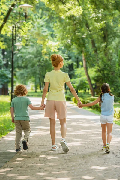 Vista Trasera Mujer Con Niños Tomados Mano Mientras Caminan Parque —  Fotos de Stock