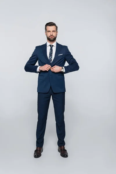 Vista Completa Hombre Negocios Traje Azul Abotonando Chaqueta Gris — Foto de Stock