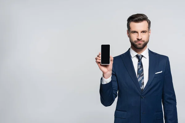 Economist Formal Wear Showing Cellphone Blank Screen Isolated Grey — Stock Photo, Image