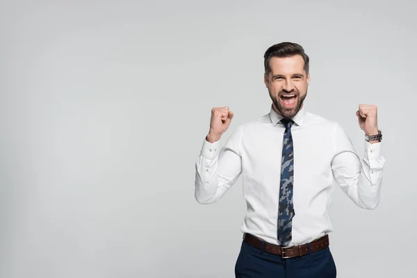 Successful Businessman Screaming Showing Win Gesture Isolated Grey — Stock Photo, Image