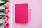 horní pohled na světlý notebook a pero v blízkosti tulipánů na bílo-růžové