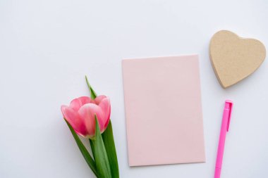 Pastel zarfın yanındaki pembe lalenin üst görüntüsü, beyaz üzerine kalp şeklinde kağıt.