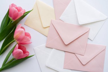 Pastel zarfların yanındaki pembe lalelerin beyaz üzerindeki üst görüntüsü.