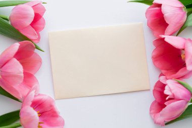 Beyaz zarfın yanındaki parlak pembe lalelerin üst görüntüsü 