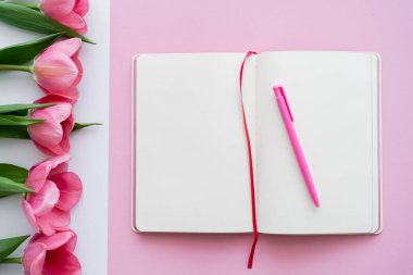 Beyaz ve pembe lalelerin yanındaki boş defter ve kalemin üst görünümü