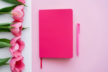 Beyaz ve pembe lalelerin yanındaki parlak defter ve kalemin üst görünümü