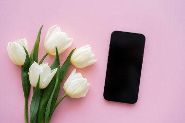 Akıllı telefonun yanındaki beyaz lalelerin pembe ekranlı beyaz görüntüsü