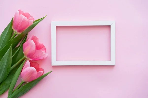ピンクのチューリップの花の近くのフレームのトップビュー — ストック写真