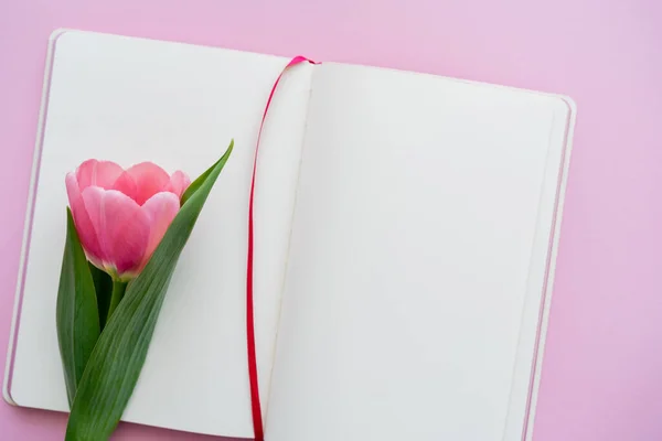 粉红上空白笔记本附近郁金香的顶视图 — 图库照片