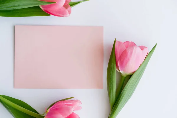 Ansicht Von Rosa Tulpen Der Nähe Pastellfarbener Umschläge Auf Weiß — Stockfoto