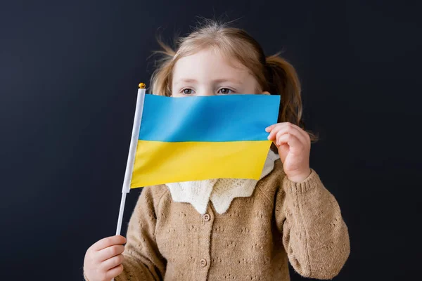 Маленькая Девочка Затемняющая Лицо Маленьким Украинским Флагом Изолированным Черном — стоковое фото