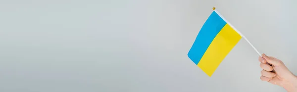 Обрезанный Вид Человека Маленьким Украинским Флагом Изолированным Сером Копировальным Пространством — стоковое фото