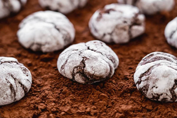 Vue Rapprochée Des Biscuits Sur Poudre Cacao — Photo