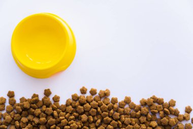 Beyaz üzerine izole edilmiş evcil hayvan mamasının yanındaki sarı plastik kasenin üst görüntüsü.