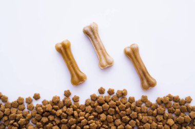 Kemik şekilli köpek maması manzarası.