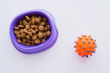 top view of rubber toy near bowl with pet food on white clipart
