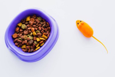Mor plastik kasenin üst görüntüsü. Beyaz fareye izole edilmiş plastik oyuncak farenin yanında kuru kedi maması var.
