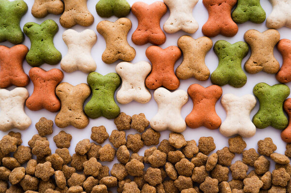 плоская укладка костной формы печенье рядом с сухой корм для домашних животных в качестве фона 