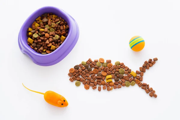 Shape Fish Made Dry Pet Food Purple Bowl Toys Isolated — Stock Photo, Image