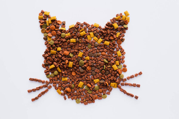 top view of shape of cat made from dry pet food isolated on white