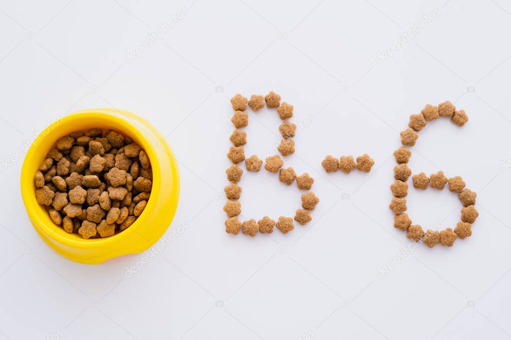 flat lay of word made of dry pet food near bowl isolated on white