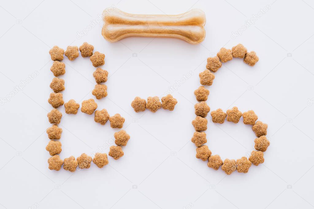 flat lay of word made of dry pet food near bone shaped pet treat isolated on white