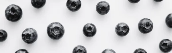 Flat Lay Fresh Blueberries White Background Banner — Stock Photo, Image
