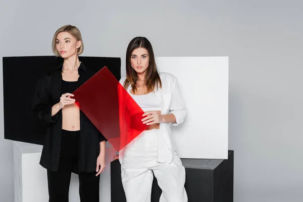 Fashionable Women Holding Red Glass Black White Cubes Isolated Grey — Stock Photo, Image