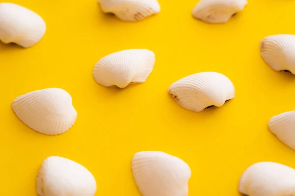 Close View White Seashells Yellow Background — Stock Photo, Image
