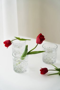 Kırmızı laleler ve beyaz masa üstünde temiz su ve gri arkaplan içeren ön cepheli gözlükler.