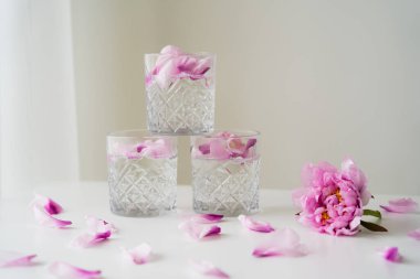 Pembe şakayık yanında cin tonik, beyaz yüzeyinde taç yaprakları ve gri arka planda cini olan bardaklar