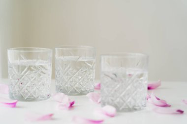 glasses with facetted pattern and tonic near floral petals on white surface isolated on grey clipart