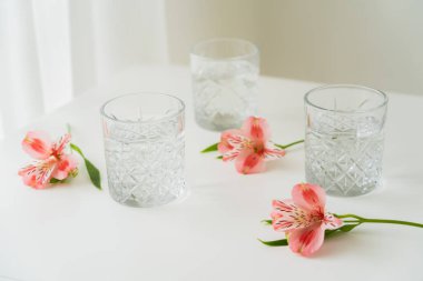 crystal glasses with water near pink flowers on white surface and grey background clipart