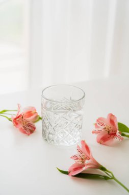 transparent glass with fresh water near pink alstroemeria flowers on white background with copy space clipart