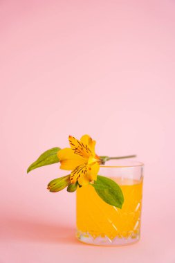 yellow peruvian lily on glass with fresh citrus tonic on pink background clipart