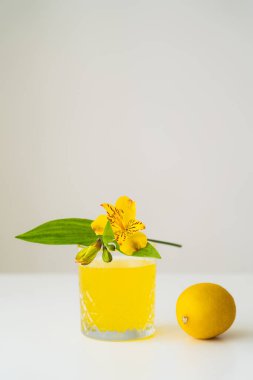 Sarı Peru zambağı ve bütün limon, gri yüzeyde izole edilmiş beyaz turunçgil toniğinin yanında.